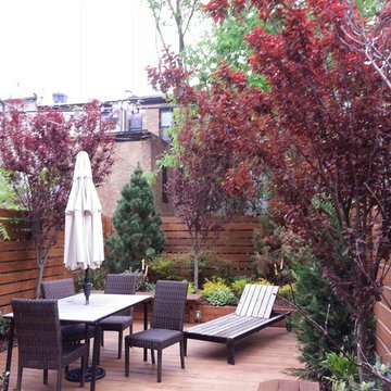 Brooklyn NYC townhouse rear yard landscape design renovation: out door dining