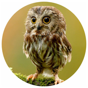Andreas Custom Owl Trivet, 8" Round
