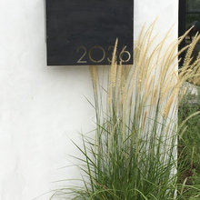 address