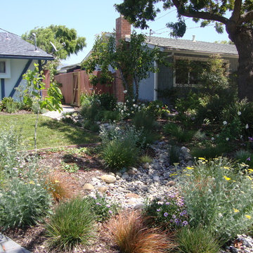 Natural Drainage