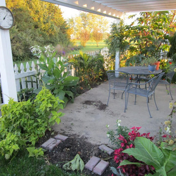 Tropical Patio Garden