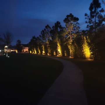 700' Walkway Lighting