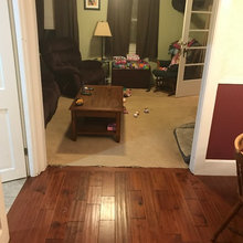 carpet living room