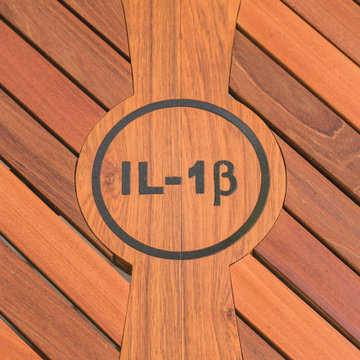 IL-1Beta Teak Table 16
