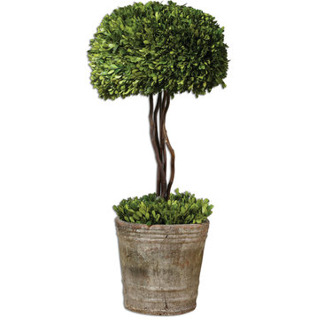 Tree Topiary Preserved Boxwood, Natural