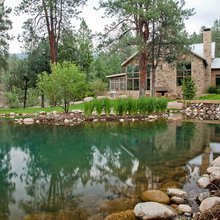 Pond