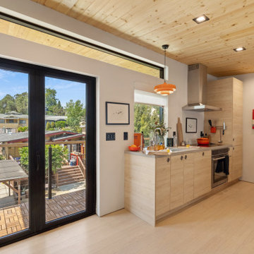 Modern ADU w/ Art Gallery & Rooftop Deck- NextGen Home Builders in Highland Park
