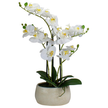 22" Artificial White and Yellow Orchid Plant With White Oval Pot Tabletop Decor