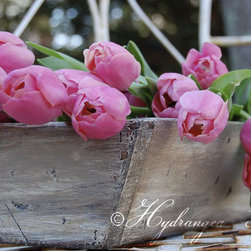 Rustic Planter in Coco - Indoor Pots And Planters