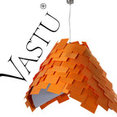 Vastu's profile photo
