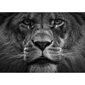 Sergey Tverdochlebov's photo