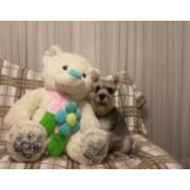 Elly Regina Franco's photo