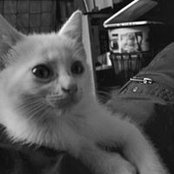 Cherie Coco's photo