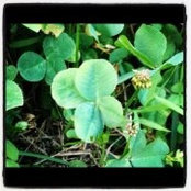 Carrie Swindell Winterbottom's photo
