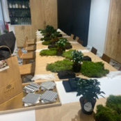 Sophie Grimoin's photo