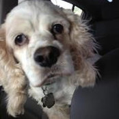 Vicki Norris's photo