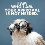 Jamie Kyzer's photo