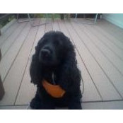 Kristine Bowles's photo