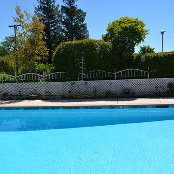 Extensive Remodel- Large Pool