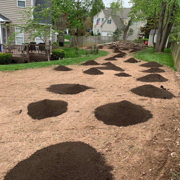 Lawn renovation