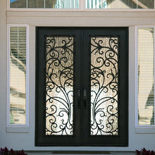 Front doors