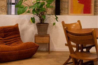 Idée de décoration pour une salle de séjour design.