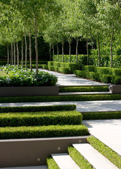 Transitional Garden by Peter Fudge Gardens