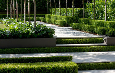 10 Things You Might Not Know About Garden Hedges