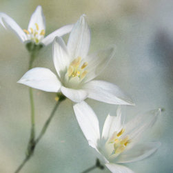Wildflower Trio - Artwork