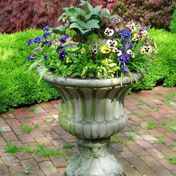 Planter & Container Garden Design - Fairfield County, CT
