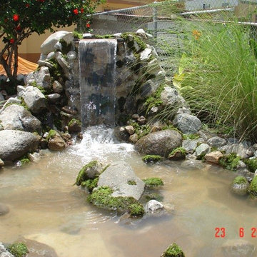 Biological Koi Ponds