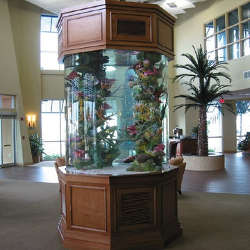 Ridgefield, New Canaan, CT – Fish Tank Care and Saltwater Aquarium Maintenance T