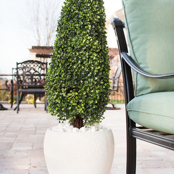 Modern Patio with Boxwood Topiary