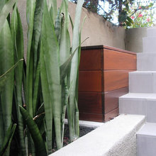 landscape and plants