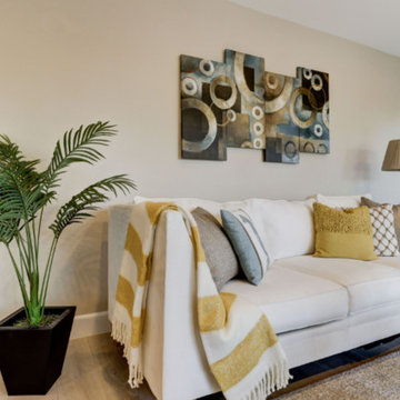 Living Room Staging
