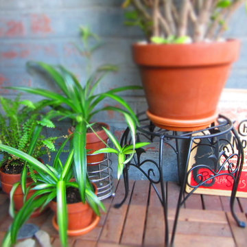 Potted plants in Manhattan balcony garden