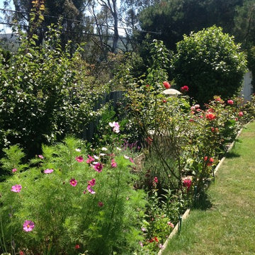 Landscape Design & Installation