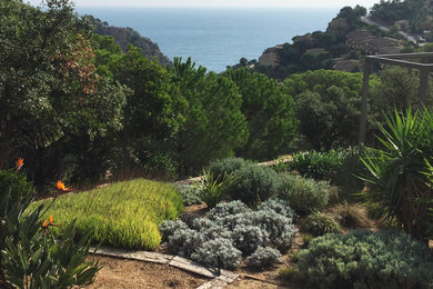 This is an example of a large mediterranean garden in Other.