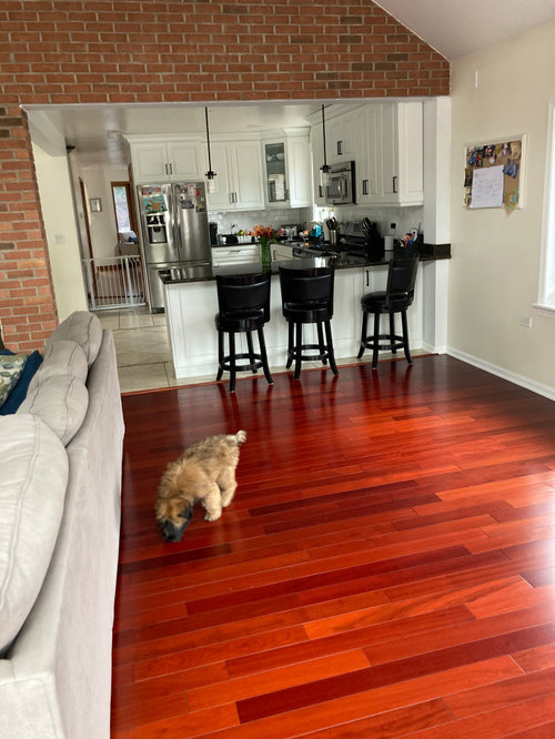 Layout ideas? Furniture placement?