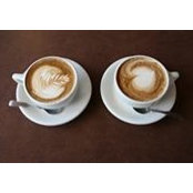 Robin Freedman's photo