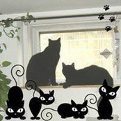 Donna Kish's photo