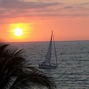 Anne Chan's photo