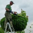 Profilbild von Garten und Landschaftsbau Oliver Schäfer