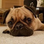 Stephanie Scott's photo
