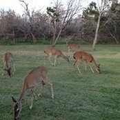 Geneva Davis's photo