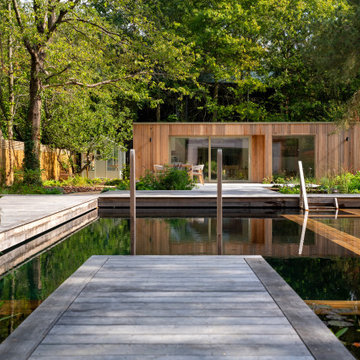 Dulwich Natural Pool