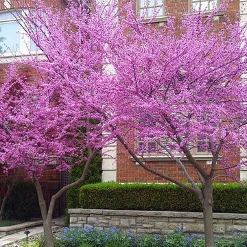 Stunning Gardens