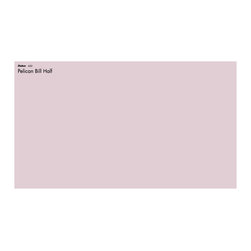 Dulux- Pelican Bill Half - Paint