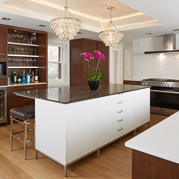 Kenwood Minneapolis MN Modern Kitchen