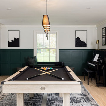 Ultra Modern Recreation Room